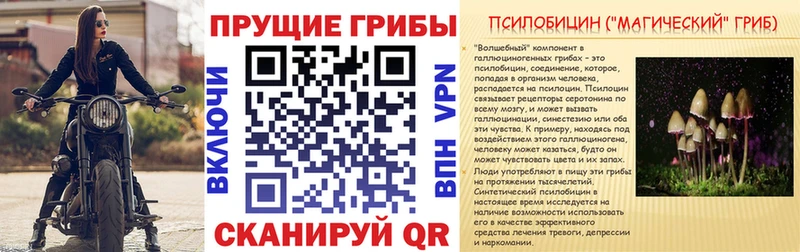 Псилоцибиновые грибы ЛСД  даркнет сайт  Зеленогорск 